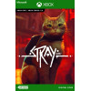 Stray XBOX CD-Key